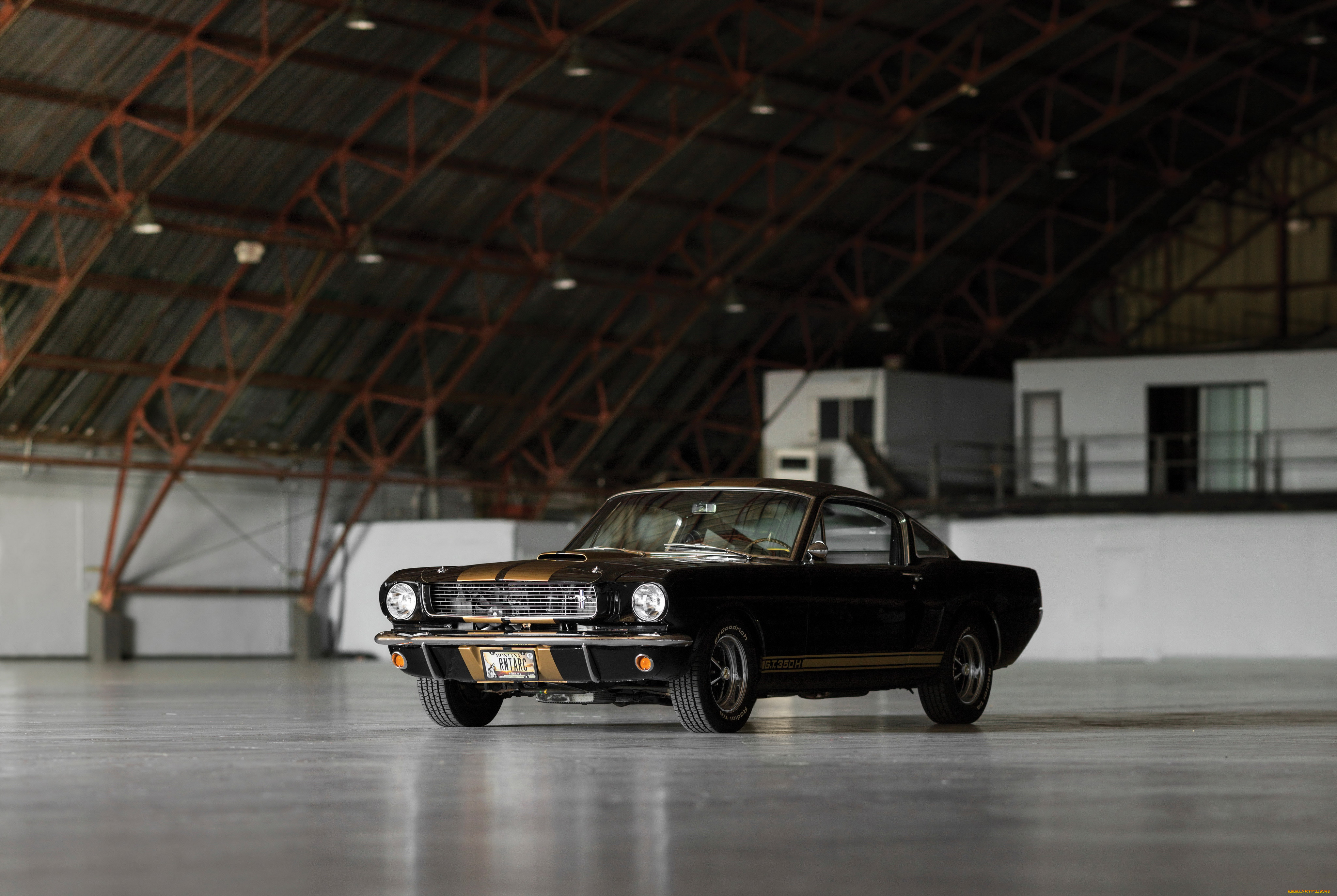 , mustang
